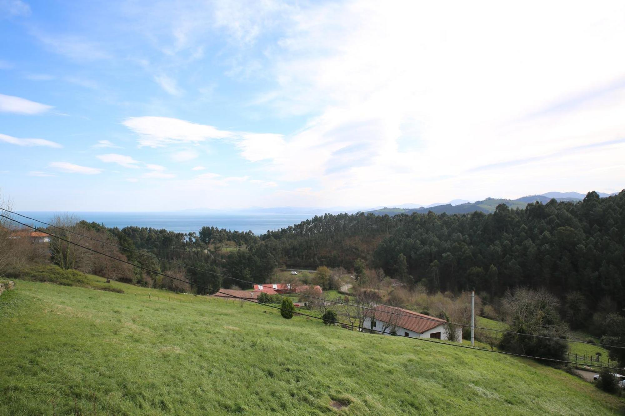 Appartamento Zelaia Mendexa Esterno foto
